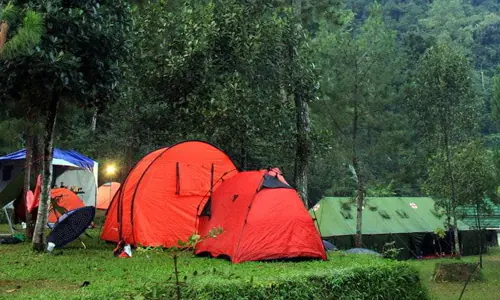 tempat camping di puncak