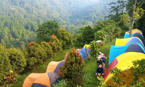 tempat camping di puncak