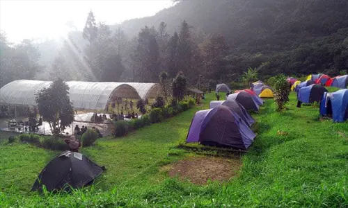 tempat camping di puncak