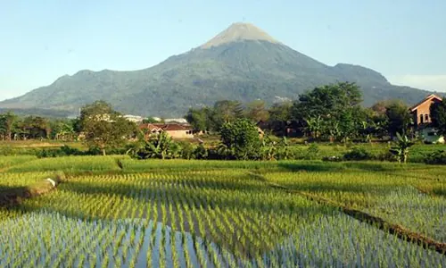 gunung di jawa timur