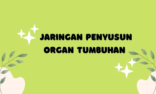 jaringan penyusun organ tumbuhan