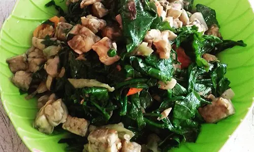 sayur daun katuk