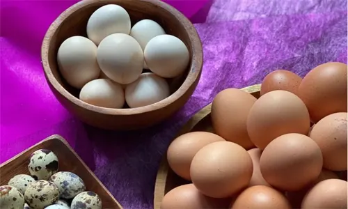 kuning telur makanan antiinflamasi