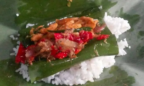 nasi kucing