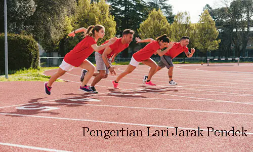 lari jarak pendek