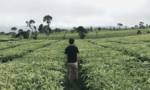 tempat wisata di pangalengan